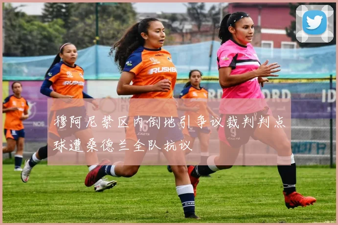 穆阿尼禁区内倒地引争议裁判判点球遭桑德兰全队抗议