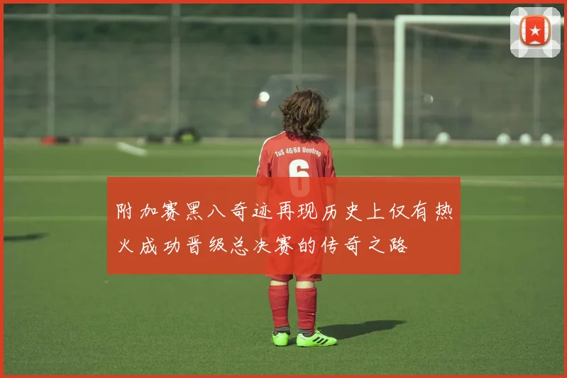 附加赛黑八奇迹再现历史上仅有热火成功晋级总决赛的传奇之路