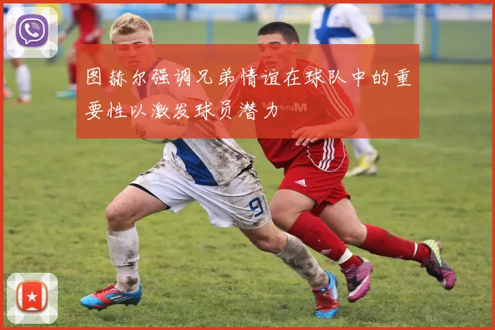 图赫尔强调兄弟情谊在球队中的重要性以激发球员潜力